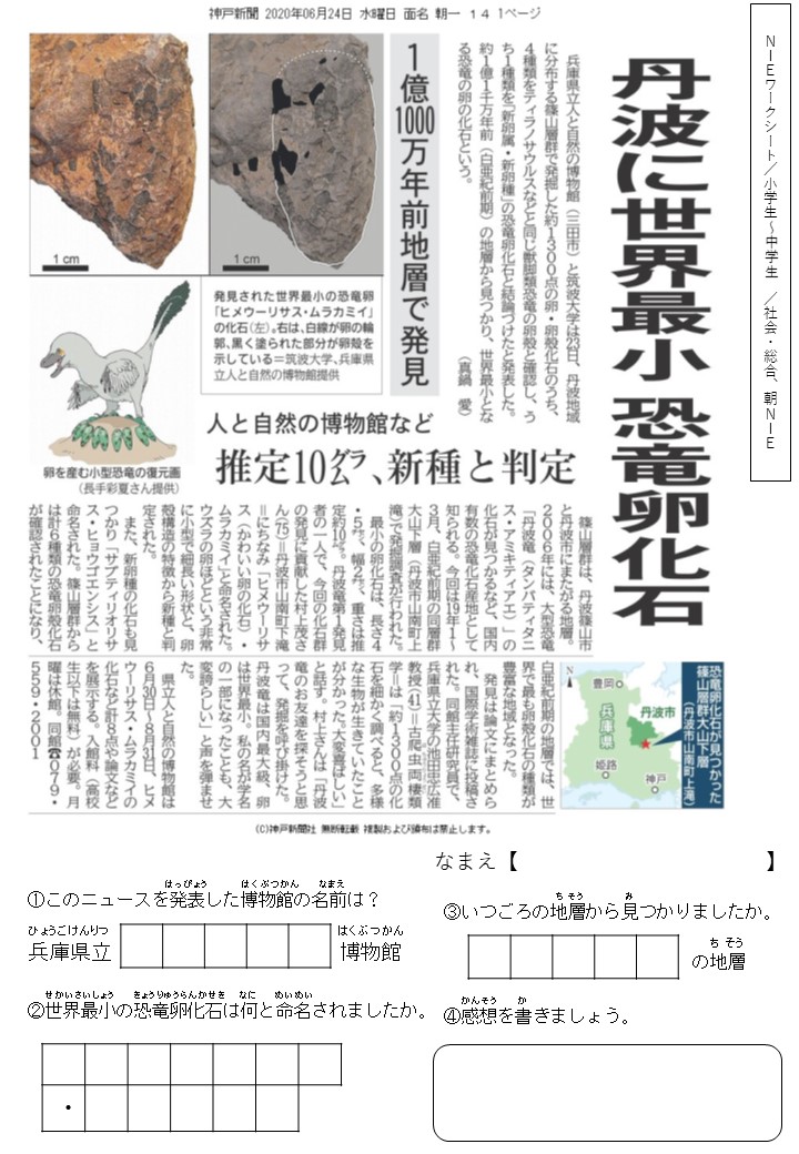 丹波に世界最小 恐竜卵化石 - 神戸新聞NIE