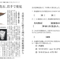 2026.4.7角竜類の化石、岩手で発見（理科）