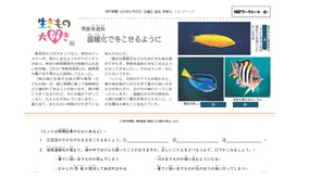 2026.7.7きせつらいゆうぎょ（小学校理科）