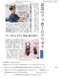2026.8.26武器のアゴ捨てたクワガタ（理科）